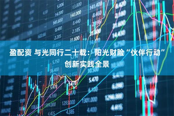 盈配资 与光同行二十载：阳光财险“伙伴行动”创新实践全景